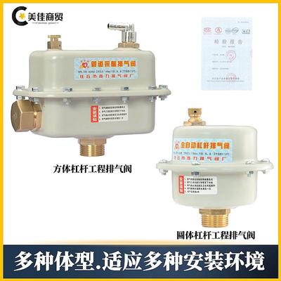 排气阀自动快速dn2520太