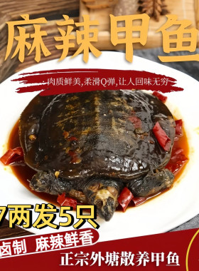 麻辣甲鱼熟食开袋即食整只袋装水鱼团老憋网红食用卤小甲鱼王八肉