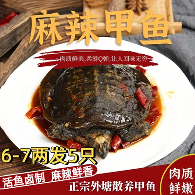 麻辣甲鱼熟食开袋即食整只袋装水鱼团老憋网红食用卤小甲鱼王八肉