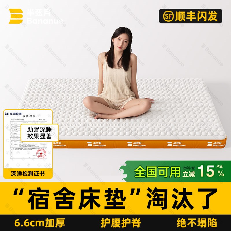 床垫软垫子宿舍学n生单人租房榻榻米家用床褥打地铺海绵薄垫