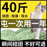 猫砂豆腐猫砂20公斤包邮除臭无尘40斤10活性炭沙实惠装可冲马桶