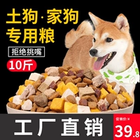 Куд собаки Tu Dog Большой собаки щенки