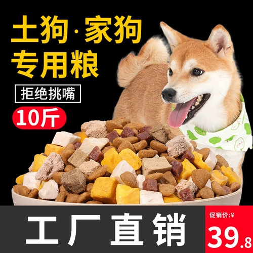 Куд собаки Tu Dog Большой собаки щенки