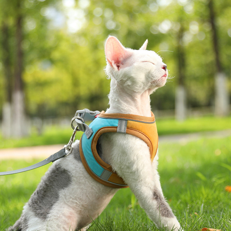 猫咪胸背带背心式牵引绳防挣脱溜猫绳子猫链子宠物外出专用遛猫绳