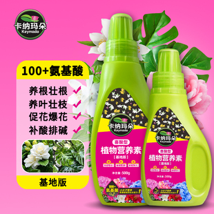 卡纳玛朵植物营养素喜酸植物专用营养液栀子花桂花三角梅促花肥料