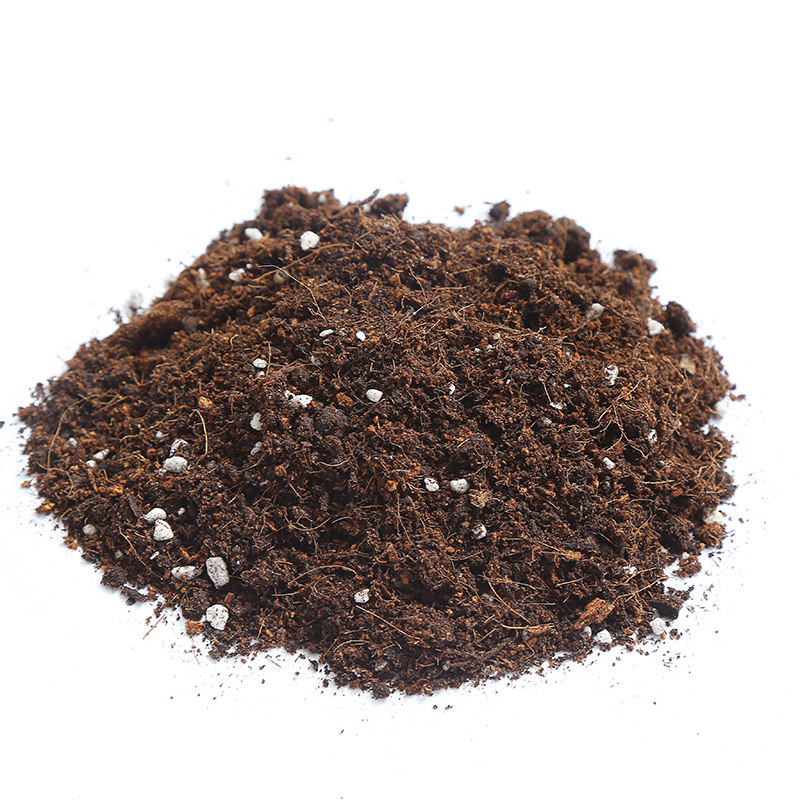 Succulent plants Green plant Nutrient Gardening grow seedlings Fleshy currency Soil pot Green plant Nutrientin the Flower delivery/Flowers simulation/Plants gardening , Vase/Flower/Flowerpot/Flower (New) , Flowerpot  category - from Buy2taobao.com to provide professional Taobao agent buy service