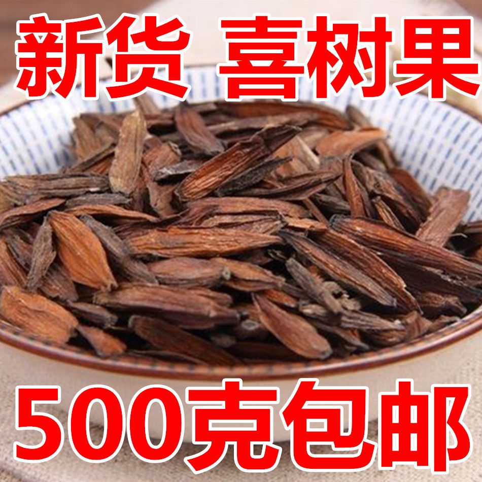 中药材喜树果 千丈树 新货水栗子 天梓树 500克包邮