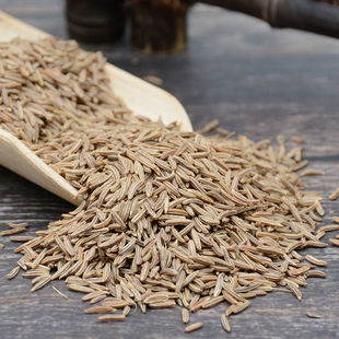 葛缕子 葛娄子 藏茴香 茴芹子葛缕籽葛篓子西餐调料干货香料