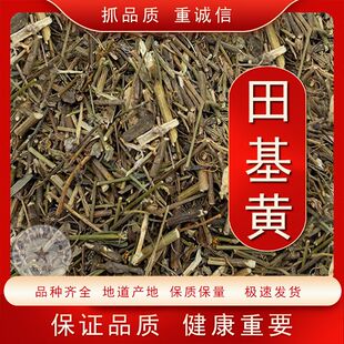 田基黄中药材 无硫野生新货田基黄  地耳草