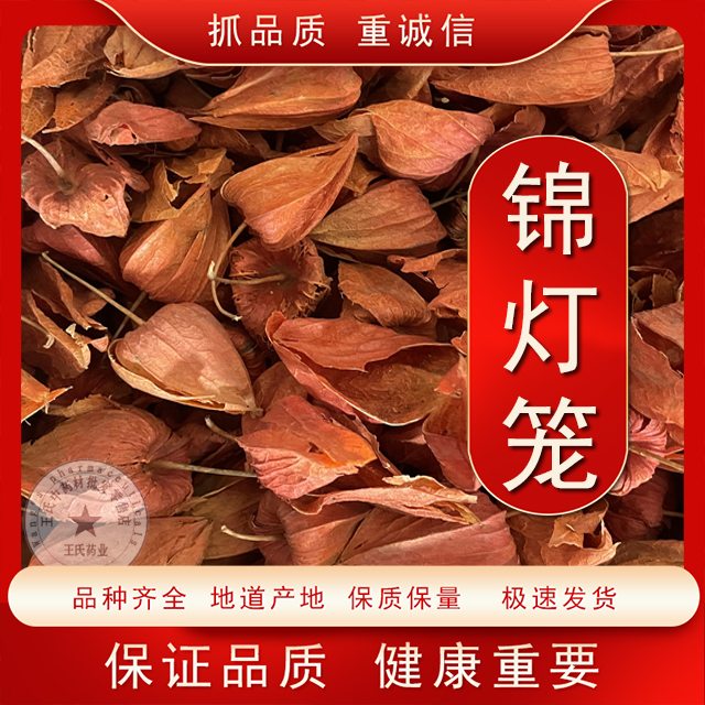 长白山野生苦姑娘皮红姑娘皮锦灯笼皮干皮无净皮中药材