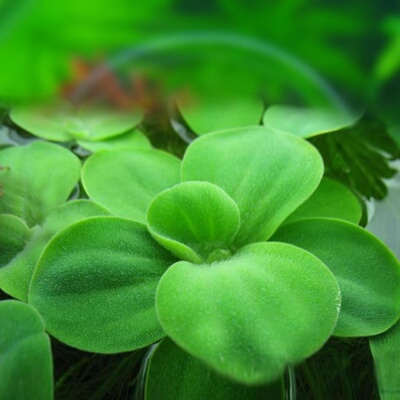 最新优惠券大全 小树懒的面包屋