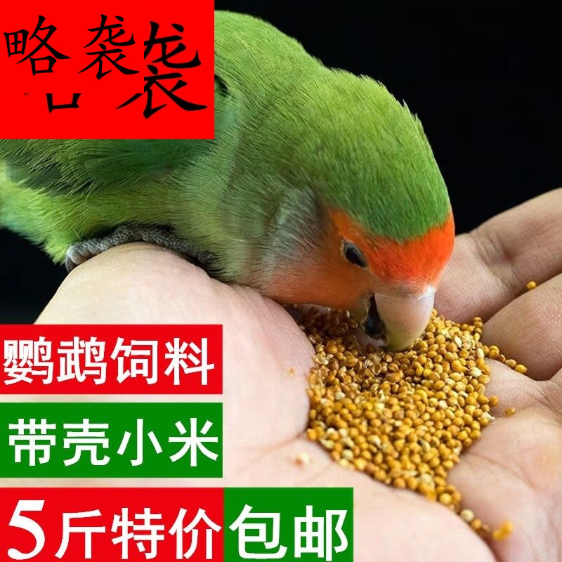 5斤新黃谷子帶殼小米虎皮牡丹玄鳳鹦鹉文鳥五色黍子鳥糧鳥食飼料在類目 寵物/寵物食品及用品, 鳥類及用品, 鳥食中 - 來自Buy2taobao.com提供專業的淘寶代購服務