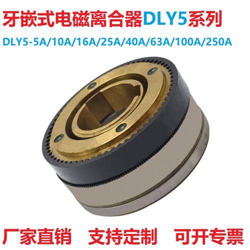牙嵌式多片电磁离合器湿式24V大扭矩DLY5-5A10A16A40A63A100A400A