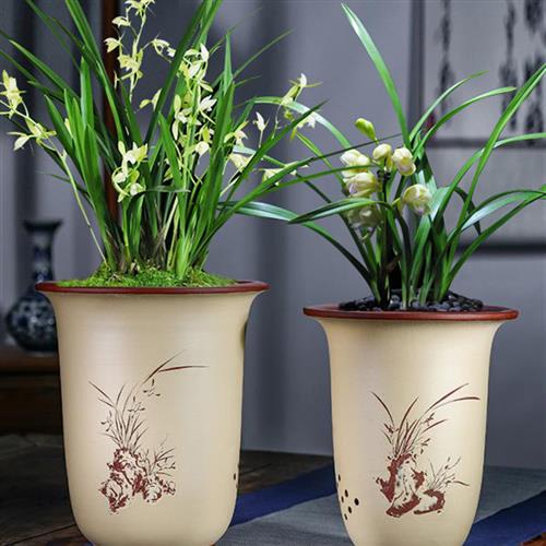 宜兴精品紫砂粗陶简约多肉植物兰花盆桌面绿植陶瓷大兰花盆刻绘