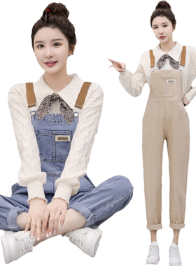 冬季毛衣两件宽松韩版小个子