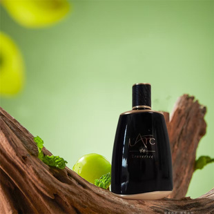 ARC约柜香水Argentium银光月辉哈瓦那远航日志法国小众试香小样