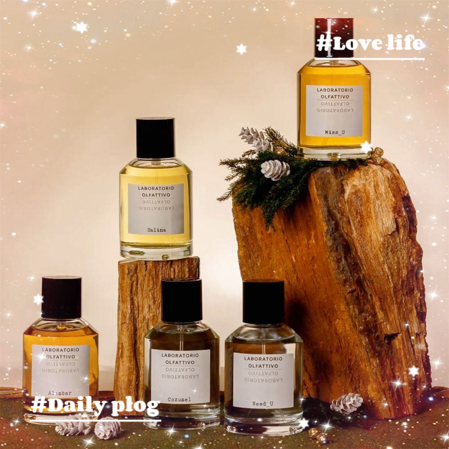 香识之城雪松万物生长香水小样