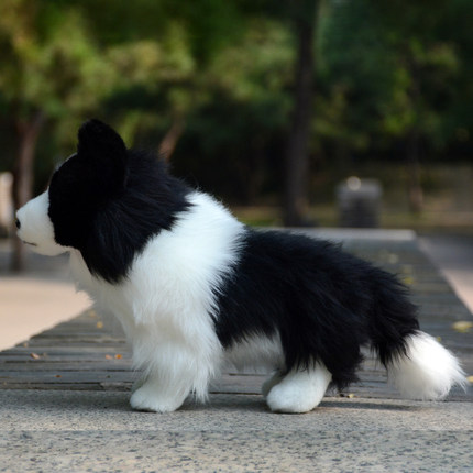 可爱边牧犬公仔仿真牧羊犬毛绒玩具狗狗玩偶布娃娃送女生生日礼物