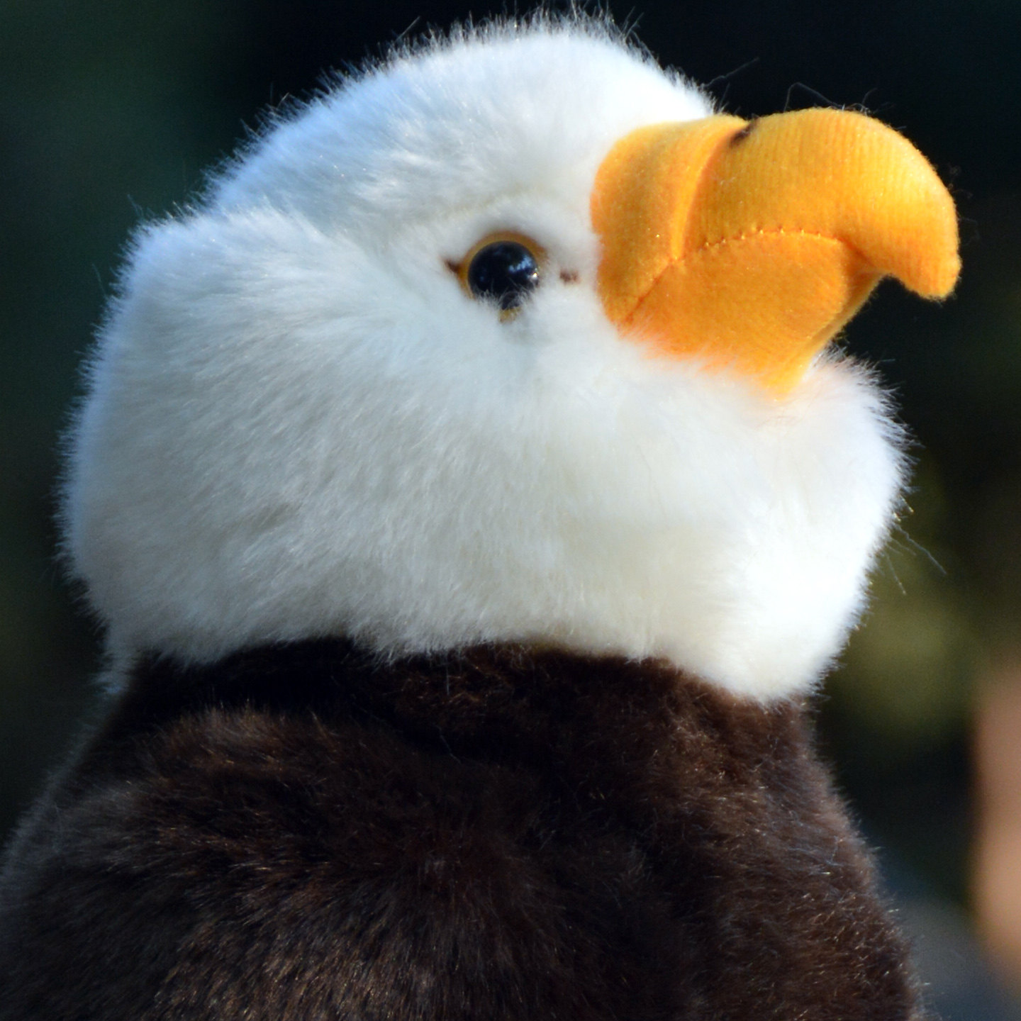 仿真美洲白头海雕毛绒公仔老鹰秃鹫玩偶鸟类飞禽玩具家居摆件礼物