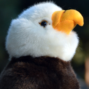 仿真美洲白头海雕毛绒公仔老鹰秃鹫玩偶鸟类飞禽玩具家居摆件礼物