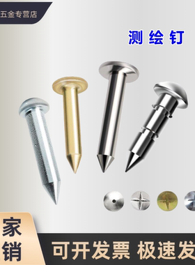 新款不锈钢镀锌测量钉绘水