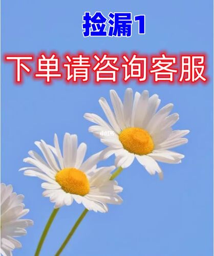捡漏1