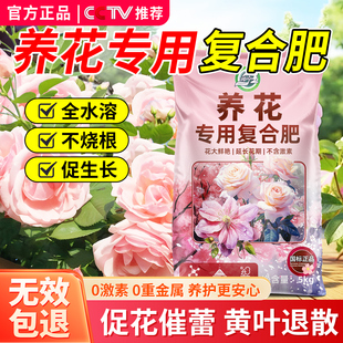 复合肥养花专用花卉植物通用氮磷钾三元 牡丹有机肥 肥料三角梅月季
