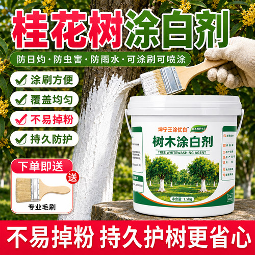 桂花树果树专用涂白剂树木树干防寒防冻防虫园林盆景刷白石灰粉剂
