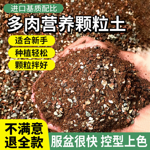 多肉颗粒土进口泥炭调配种植土