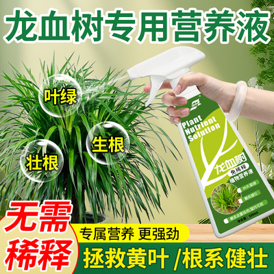 龙血树专用肥料营养液盆栽养花用