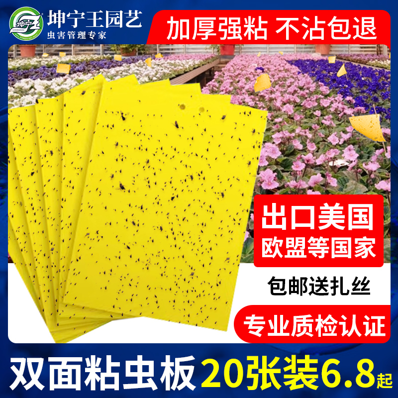 黄板粘虫板双面诱虫物理粘虫超粘