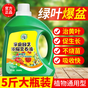 营养液植物通用型绿萝富贵竹发财树多肉水培养花卉绿植盆栽花肥料