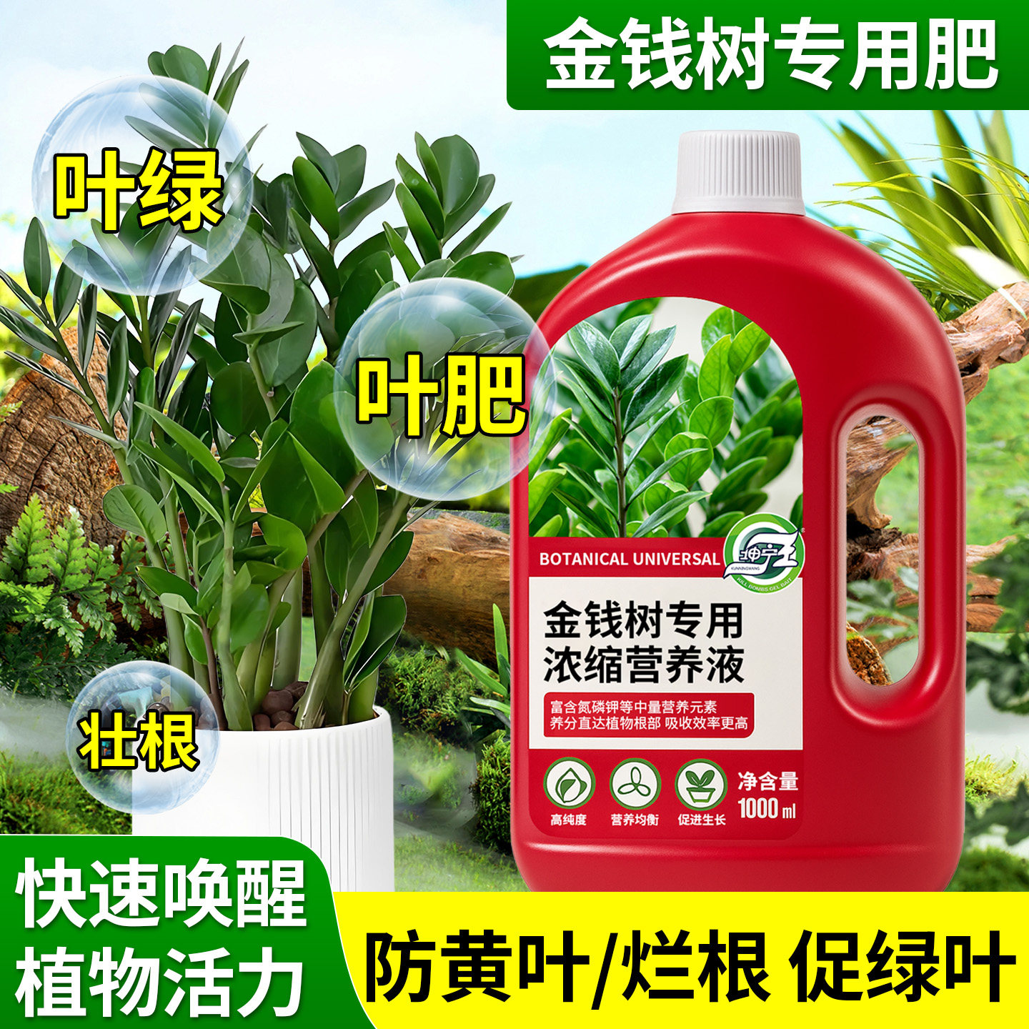 金钱树专用植物营养液室内发黄叶面花卉肥料花卉盆栽绿植家庭通用,鲜花速递/花卉仿真/绿植园艺,家庭园艺肥料,淘宝优惠券,粉丝福利购,淘宝优惠卷