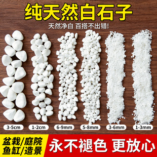 小白石子天然原石颗粒庭院造景鱼缸鹅卵石养花多肉盆栽装饰铺面石