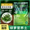Товары от 坤宁王园艺旗舰店