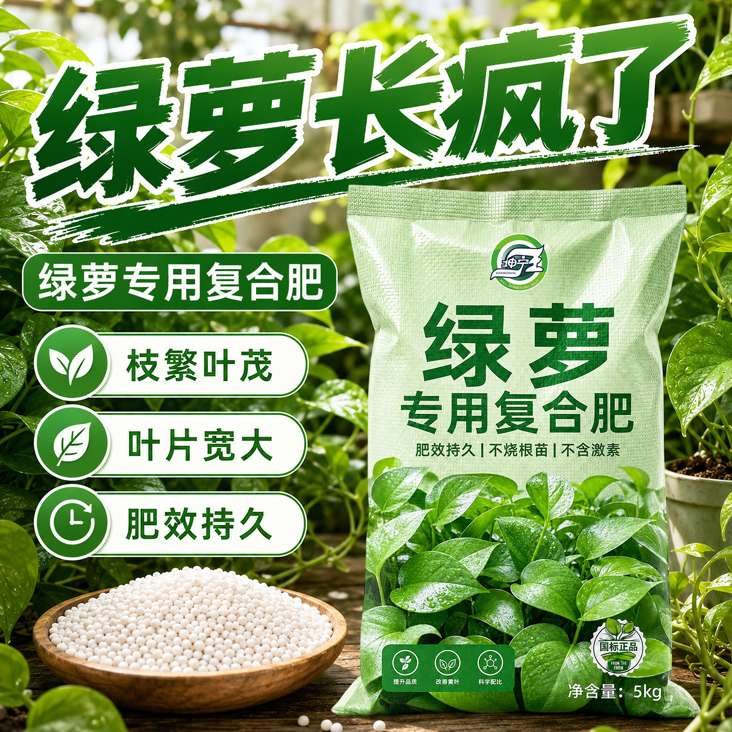 绿萝专用复合肥家用盆栽防黄叶水溶肥氮磷钾肥三元肥官方正品肥料图片
