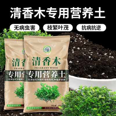 清香木专用土有机肥土驱蚊植物