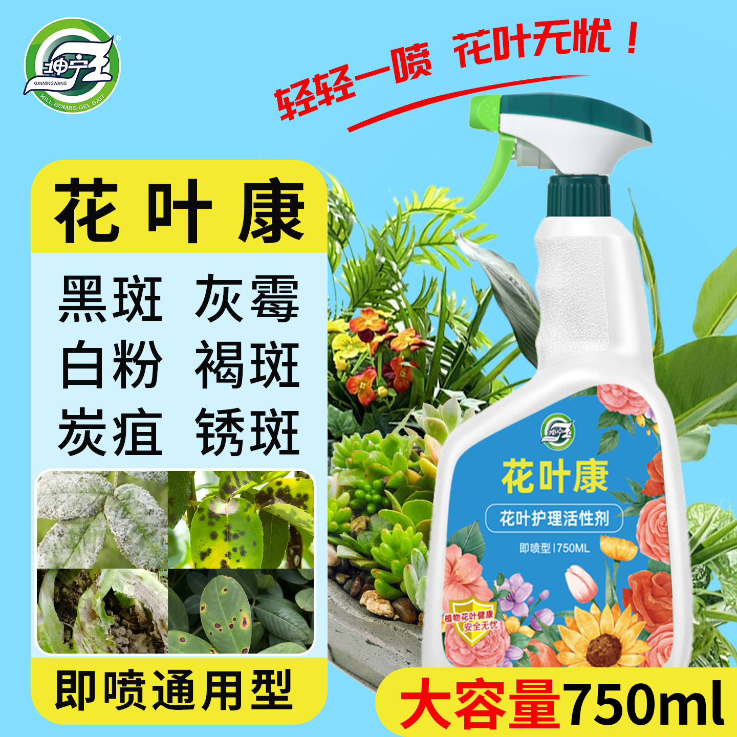 坤宁王花叶康喷雾花病康活性剂月季花卉多肉灰霉叶斑黑斑白粉枯叶