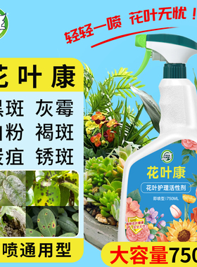 坤宁王花叶康喷雾花病康活性剂月季花卉多肉灰霉叶斑黑斑白粉枯叶