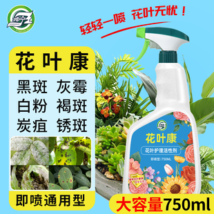 花卉多肉灰霉叶斑黑斑白粉枯叶 坤宁王花叶康喷雾花病康活性剂月季