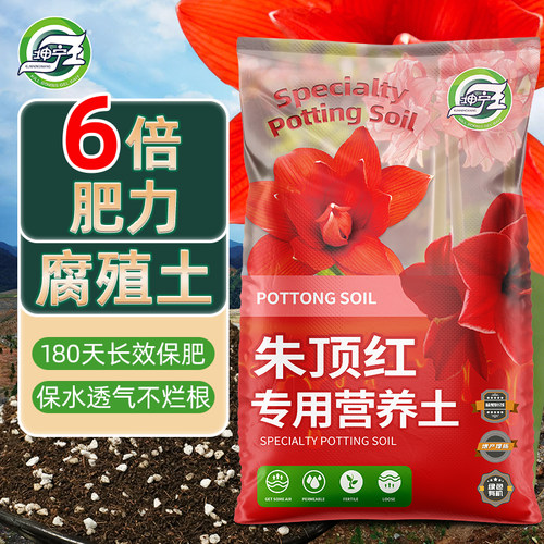 朱顶红专用土营养土球根种球种植土阳台盆栽朱顶红专用有机腐殖土