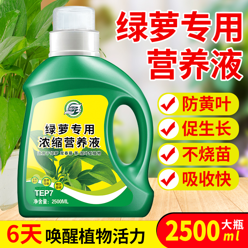 坤宁王绿萝营养液肥料专用肥植物盆栽绿箩营业液花肥料家用土水培
