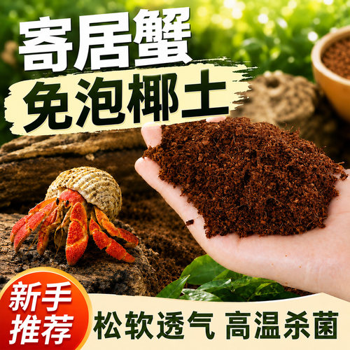 寄居蟹乌龟冬眠免泡发椰土