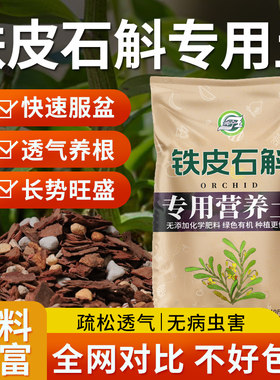 坤宁王铁皮石斛枝繁叶茂