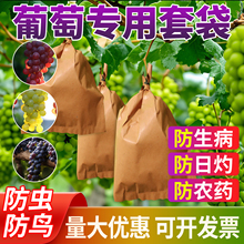 葡萄专用套袋防虫防鸟阳光玫瑰纸袋重复使用通用袋水果双层保护袋