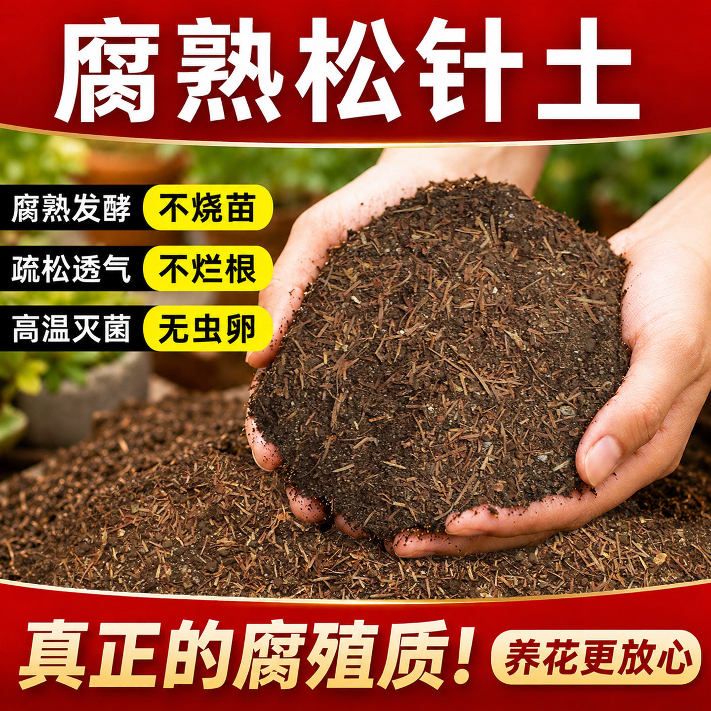 天然松针腐殖土腐叶腐熟土图片