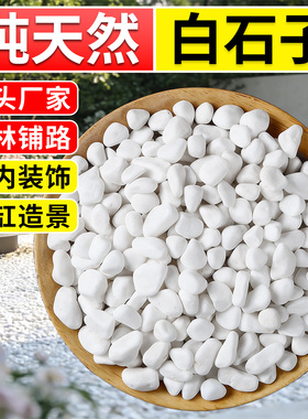 白石子白色大鹅卵石户外庭院铺路铺地小白石头石子造景景观石颗粒