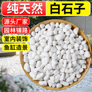 白石子白色大鹅卵石户外庭院铺路铺地小白石头石子造景景观石颗粒