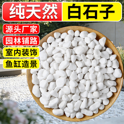 白石子白色大鹅卵石户外庭院铺路铺地小白石头石子造景景观石颗粒