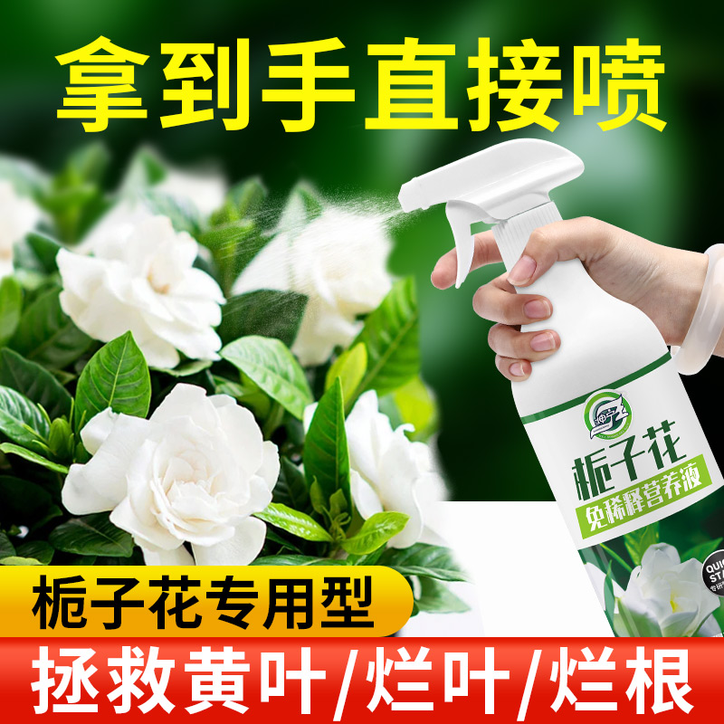 免稀释栀子花专用营养液肥料家用开花植物养花专用绿植盆栽通用型 鲜花速递/花卉仿真/绿植园艺 家庭园艺肥料 原图主图